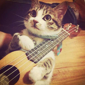 色欲第一会所 magnet
